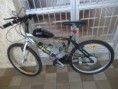 Bicicleta Modelo Stander